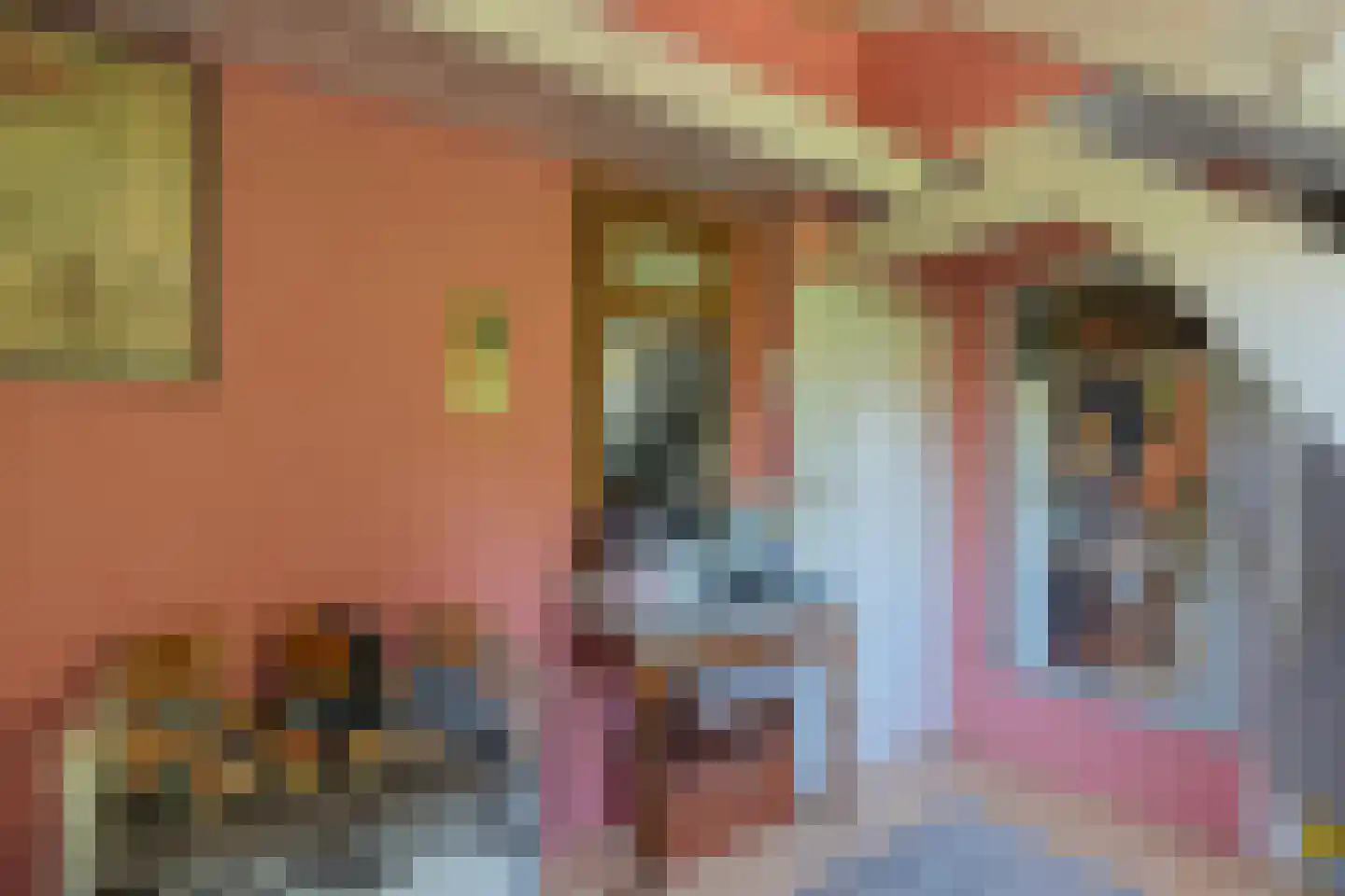 Lindestraat 22 Oudelande thumbnail 79