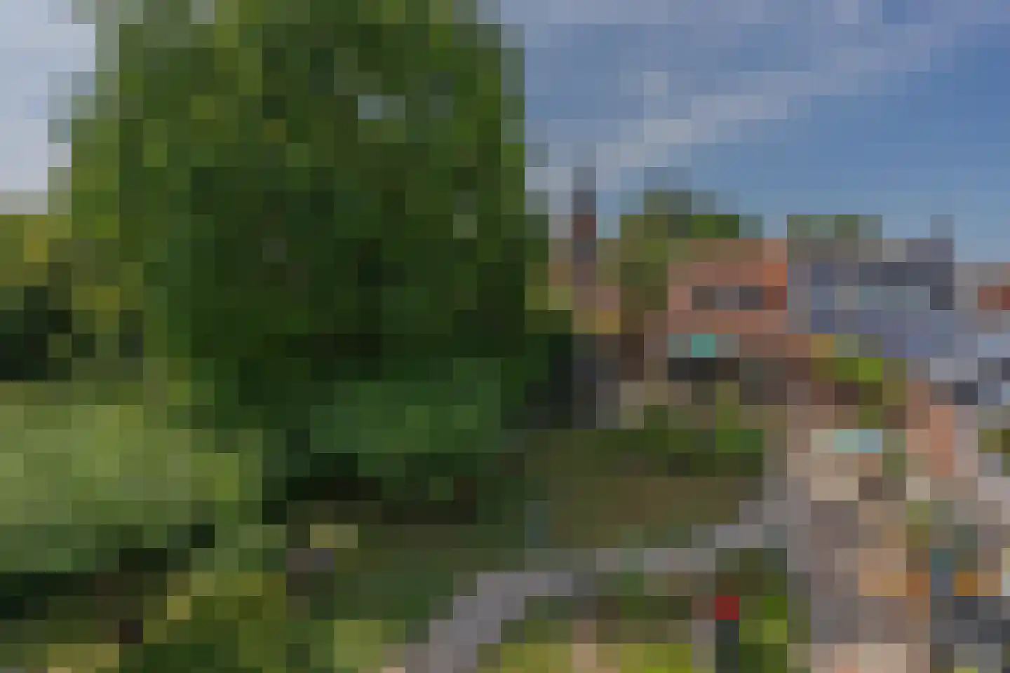 Lindestraat 22 Oudelande thumbnail 86
