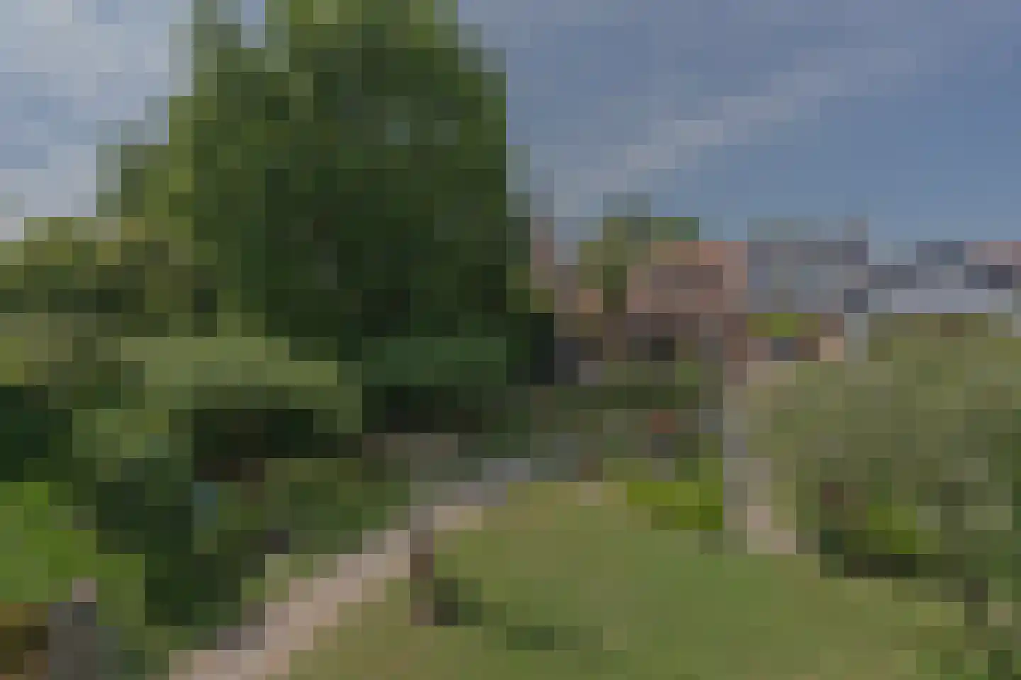 Lindestraat 22 Oudelande thumbnail 89