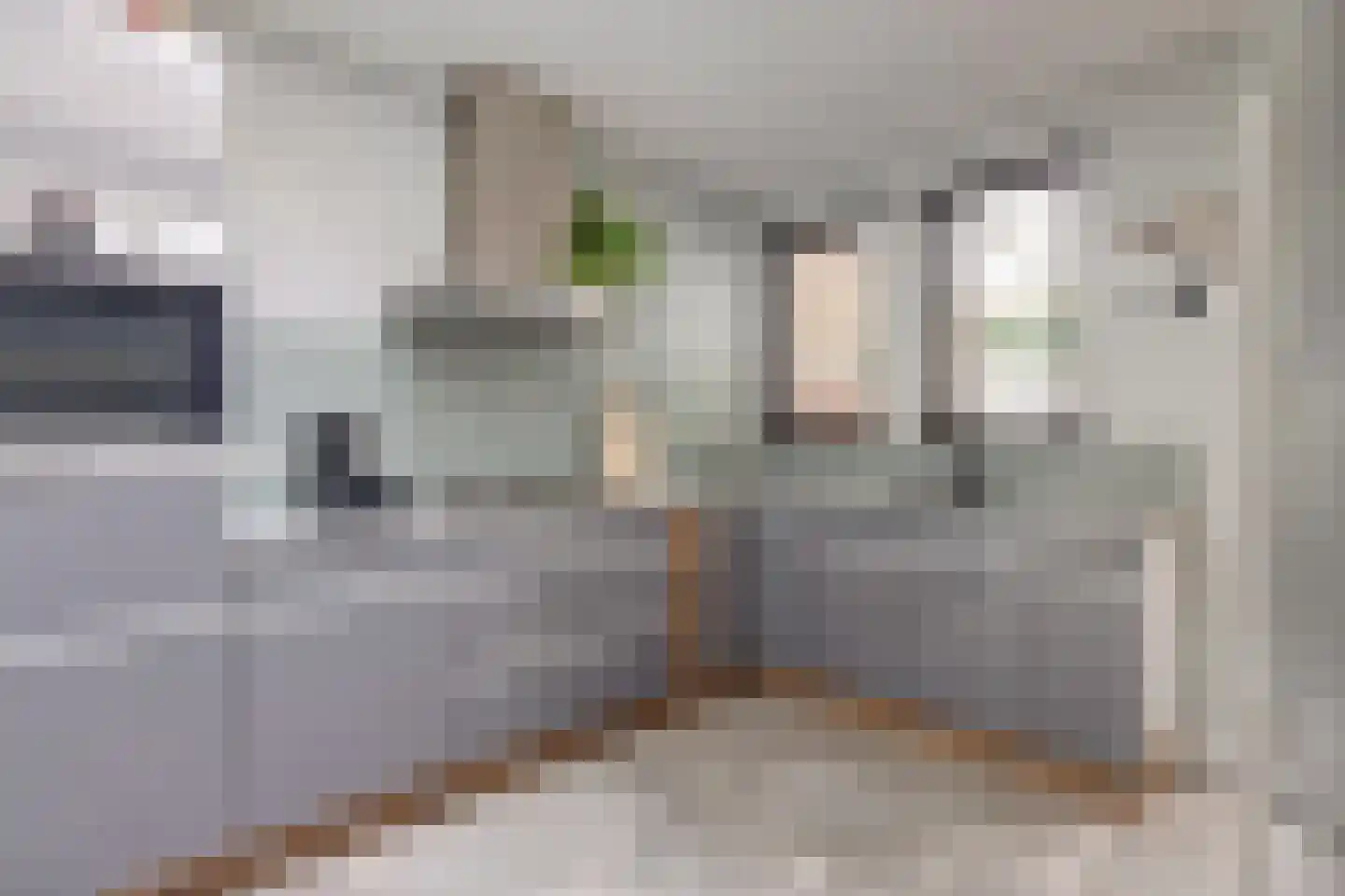 Lindestraat 22 Valkenswaard thumbnail 10