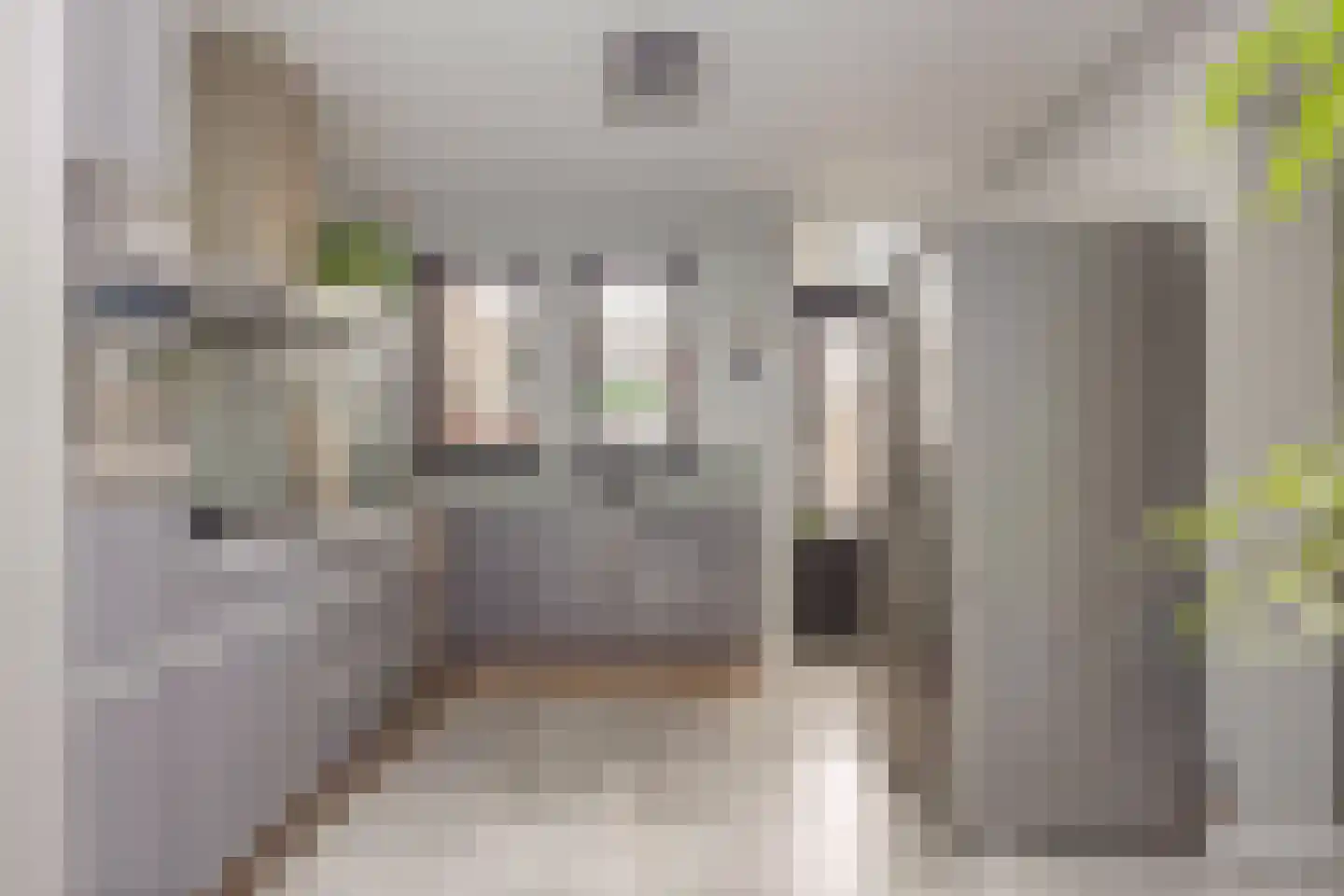 Lindestraat 22 Valkenswaard thumbnail 9