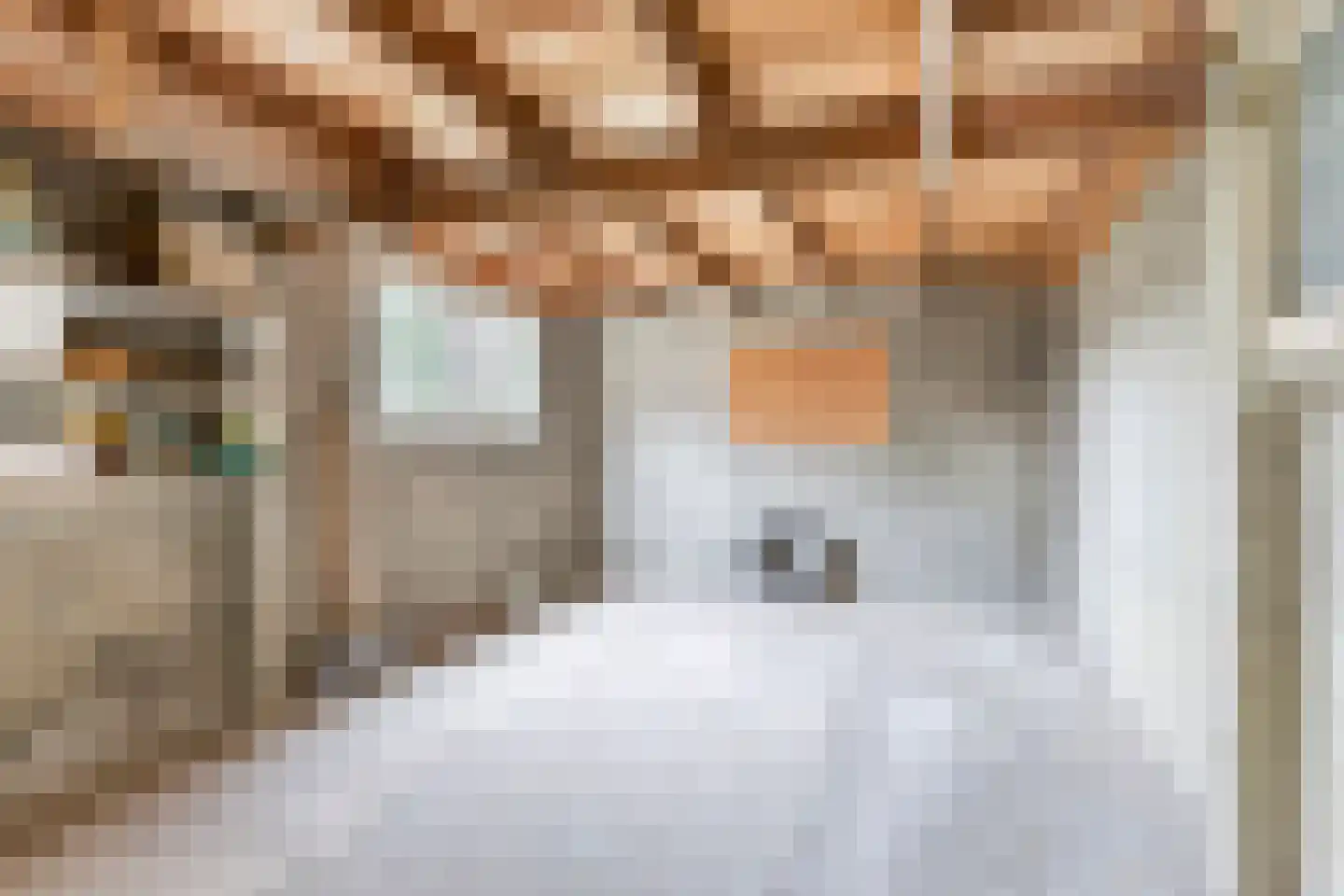 Lindestraat 25 Drunen thumbnail 38