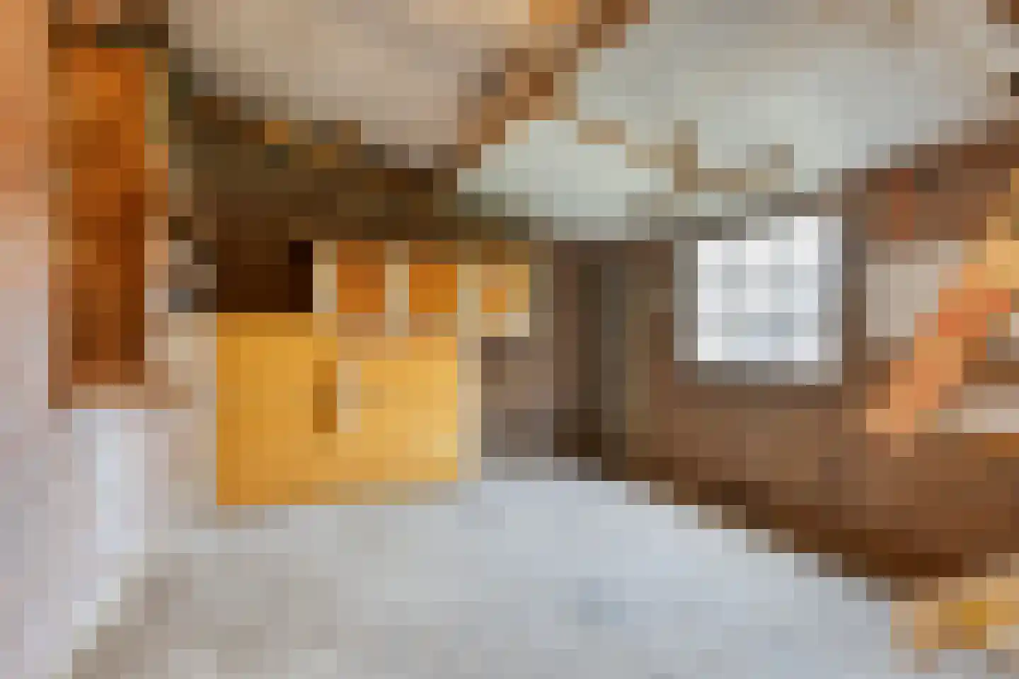 Lindestraat 25 Drunen thumbnail 41