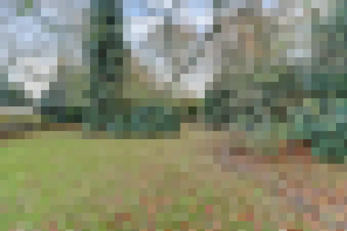 Lindestraat 27 Drunen thumbnail 11