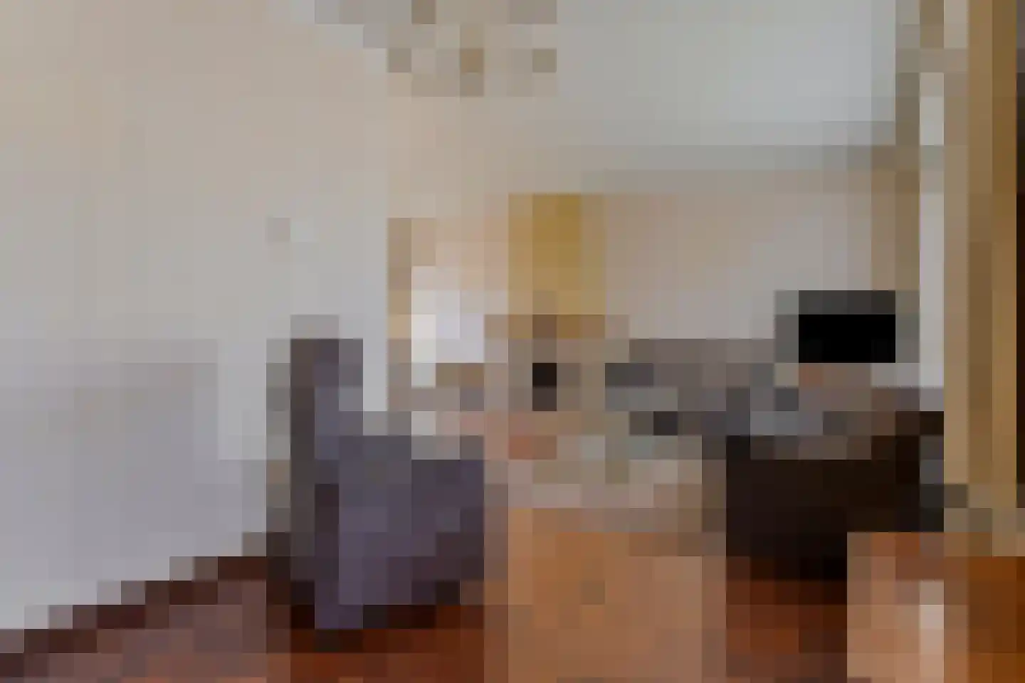 Lindestraat 27 Drunen thumbnail 12