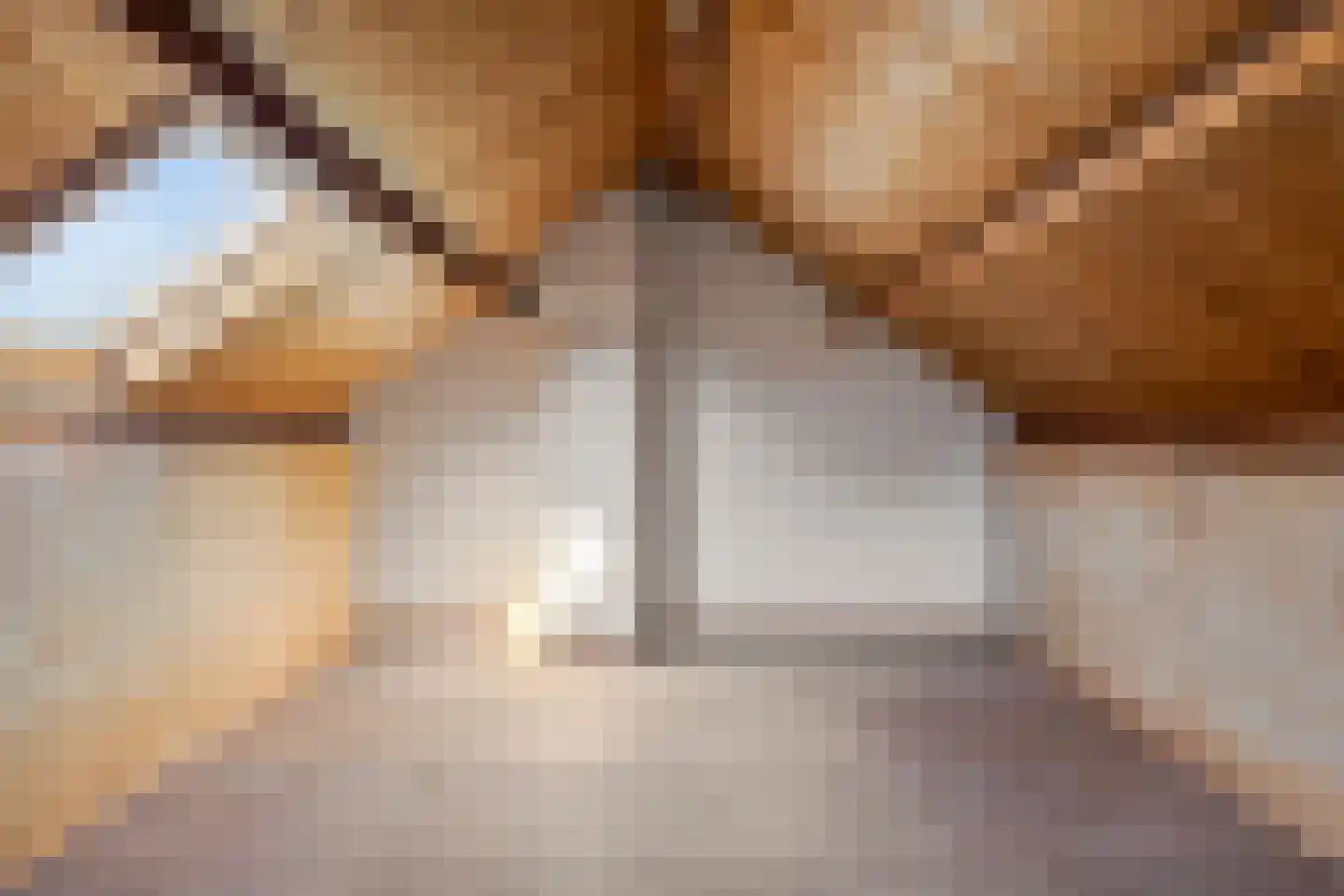 Lindestraat 27 Drunen thumbnail 32