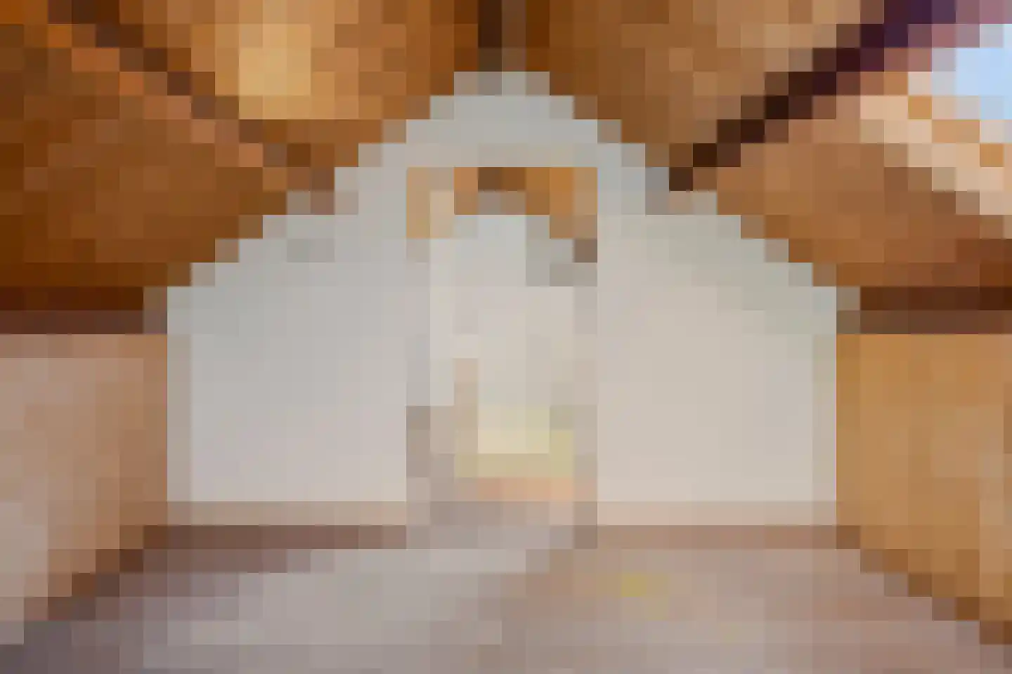 Lindestraat 27 Drunen thumbnail 33