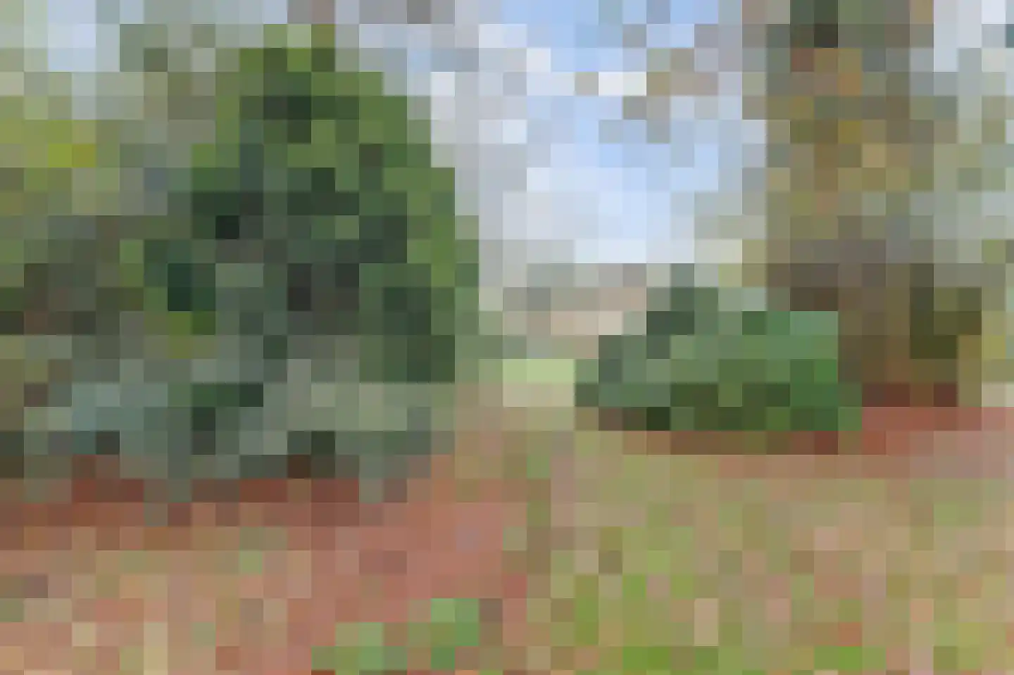 Lindestraat 27 Drunen thumbnail 4