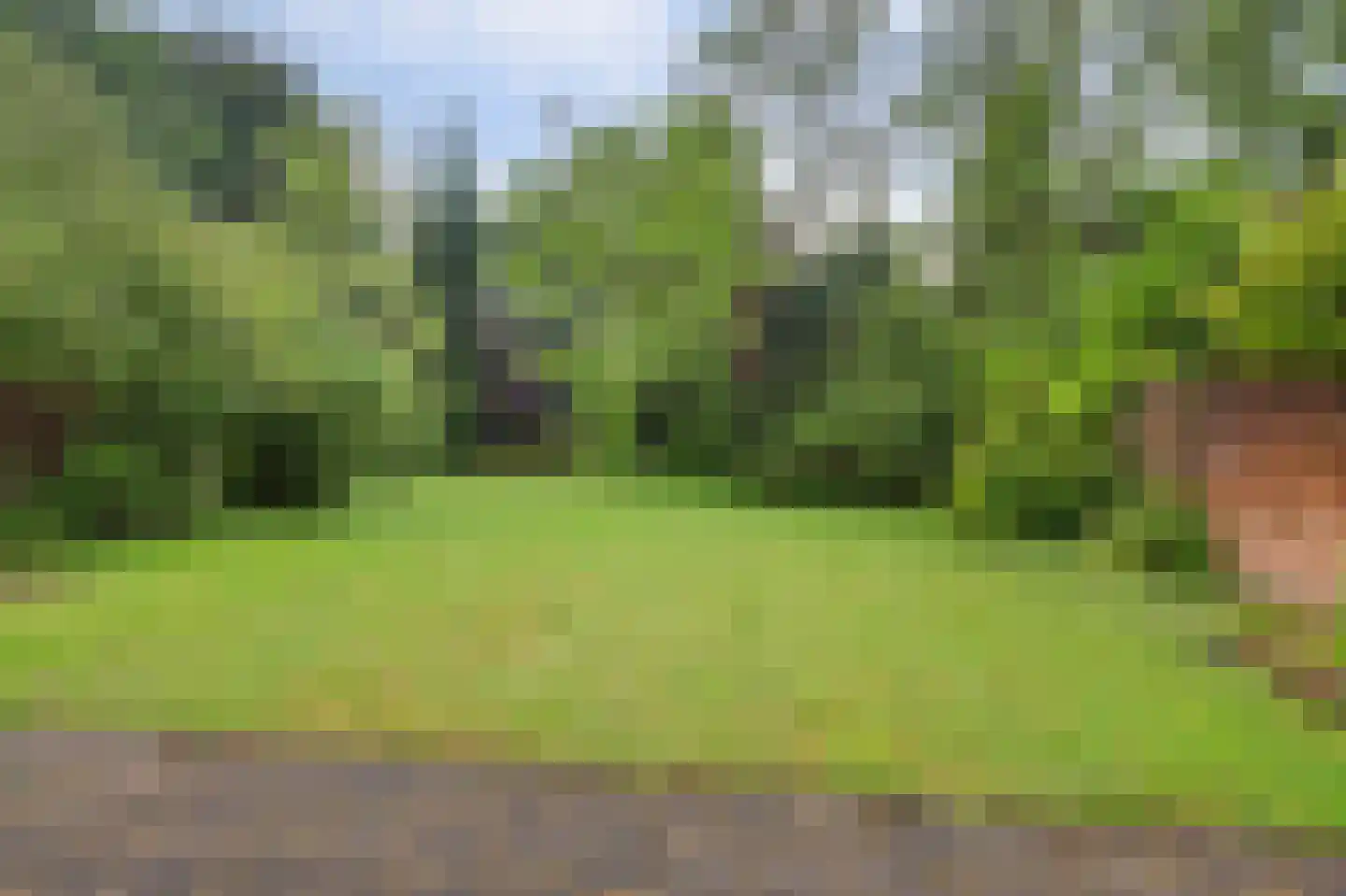Lindestraat 27 Drunen thumbnail 4