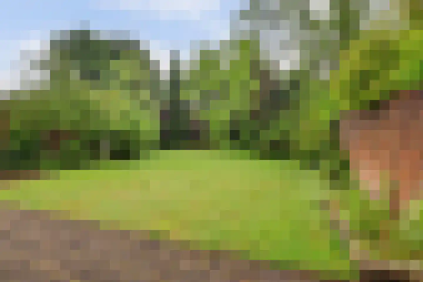 Lindestraat 27 Drunen thumbnail 5