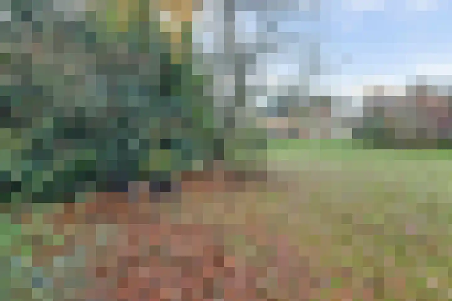 Lindestraat 27 Drunen thumbnail 9