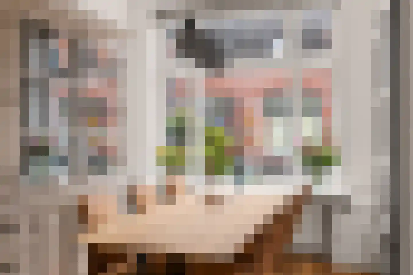 Lindestraat 28 Utrecht thumbnail 17