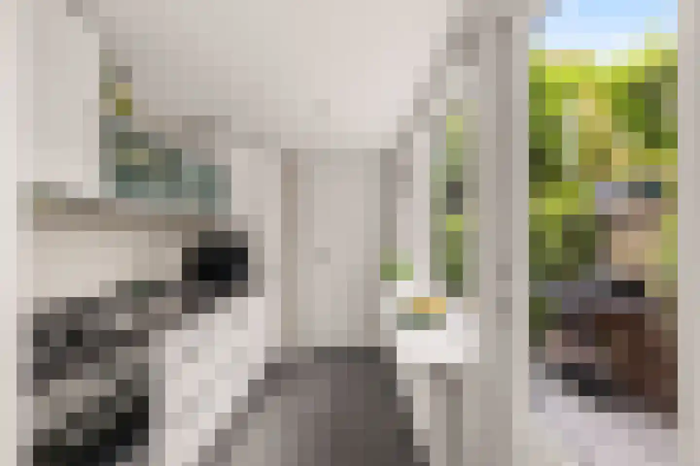 Lindestraat 28 Utrecht thumbnail 18
