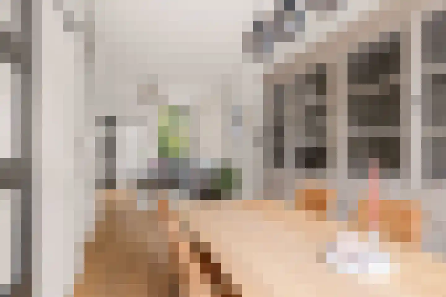 Lindestraat 28 Utrecht thumbnail 7