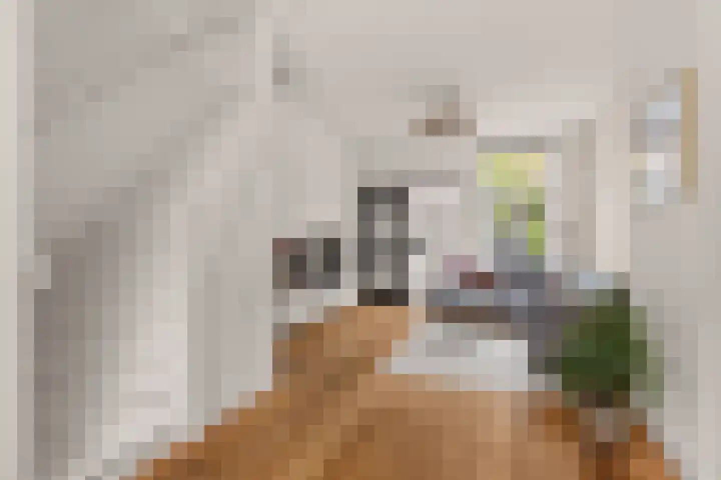 Lindestraat 28 Utrecht thumbnail 8