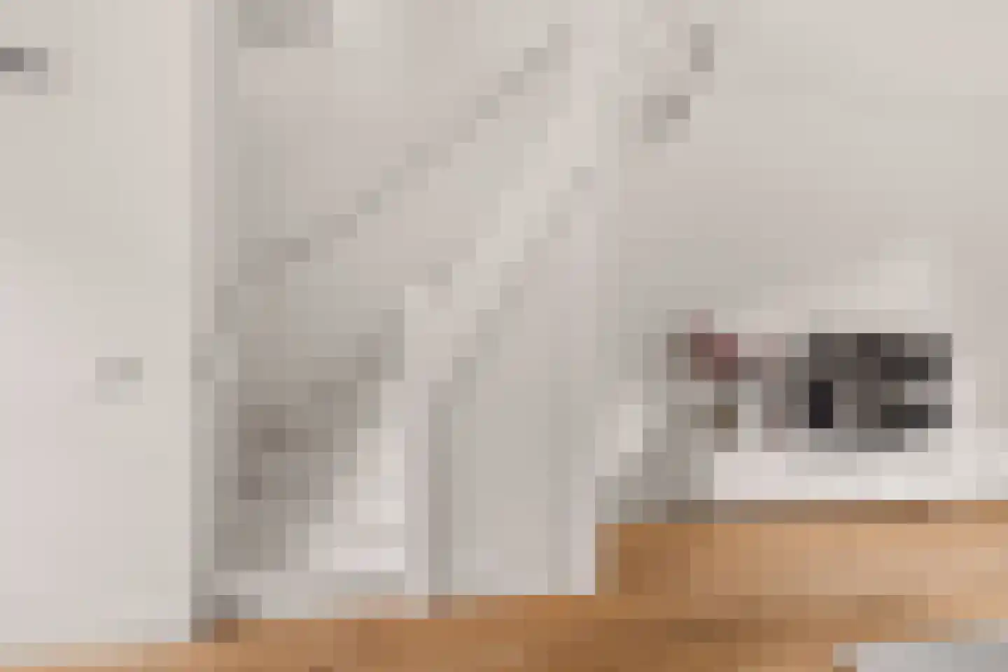 Lindestraat 28 Utrecht thumbnail 9