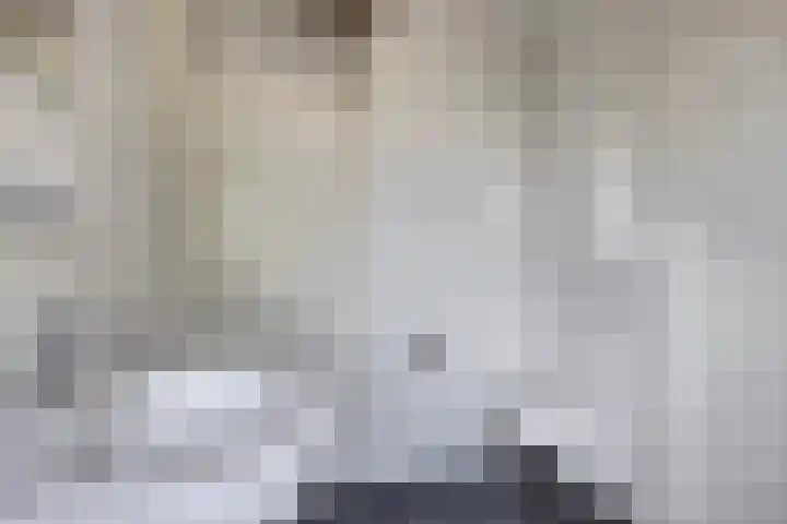 Lindestraat 3 Eethen thumbnail 21