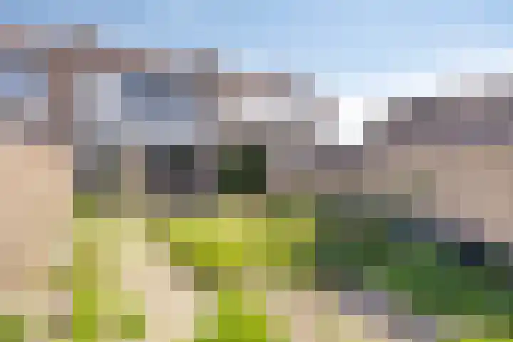 Lindestraat 3 Eethen thumbnail 31