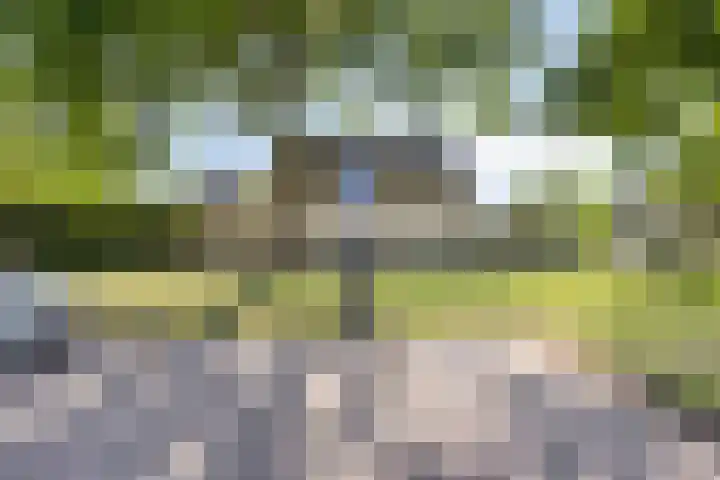Lindestraat 3 Eethen thumbnail 34