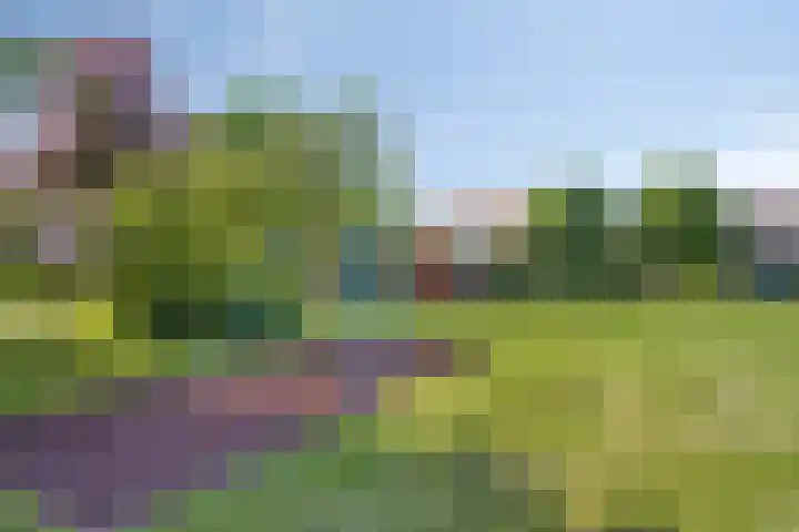 Lindestraat 3 Eethen thumbnail 37