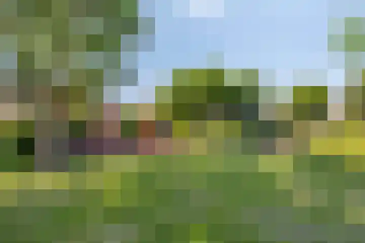 Lindestraat 3 Eethen thumbnail 38