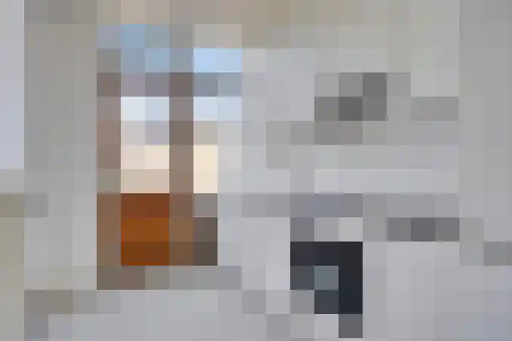 Lindestraat 3 Eethen thumbnail 4