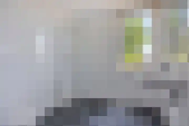 Lindestraat 3 Eethen thumbnail 6