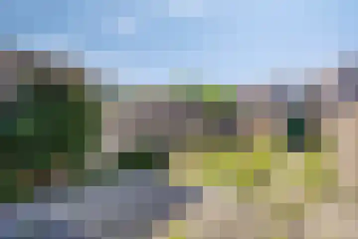 Lindestraat 3 Eethen thumbnail 7