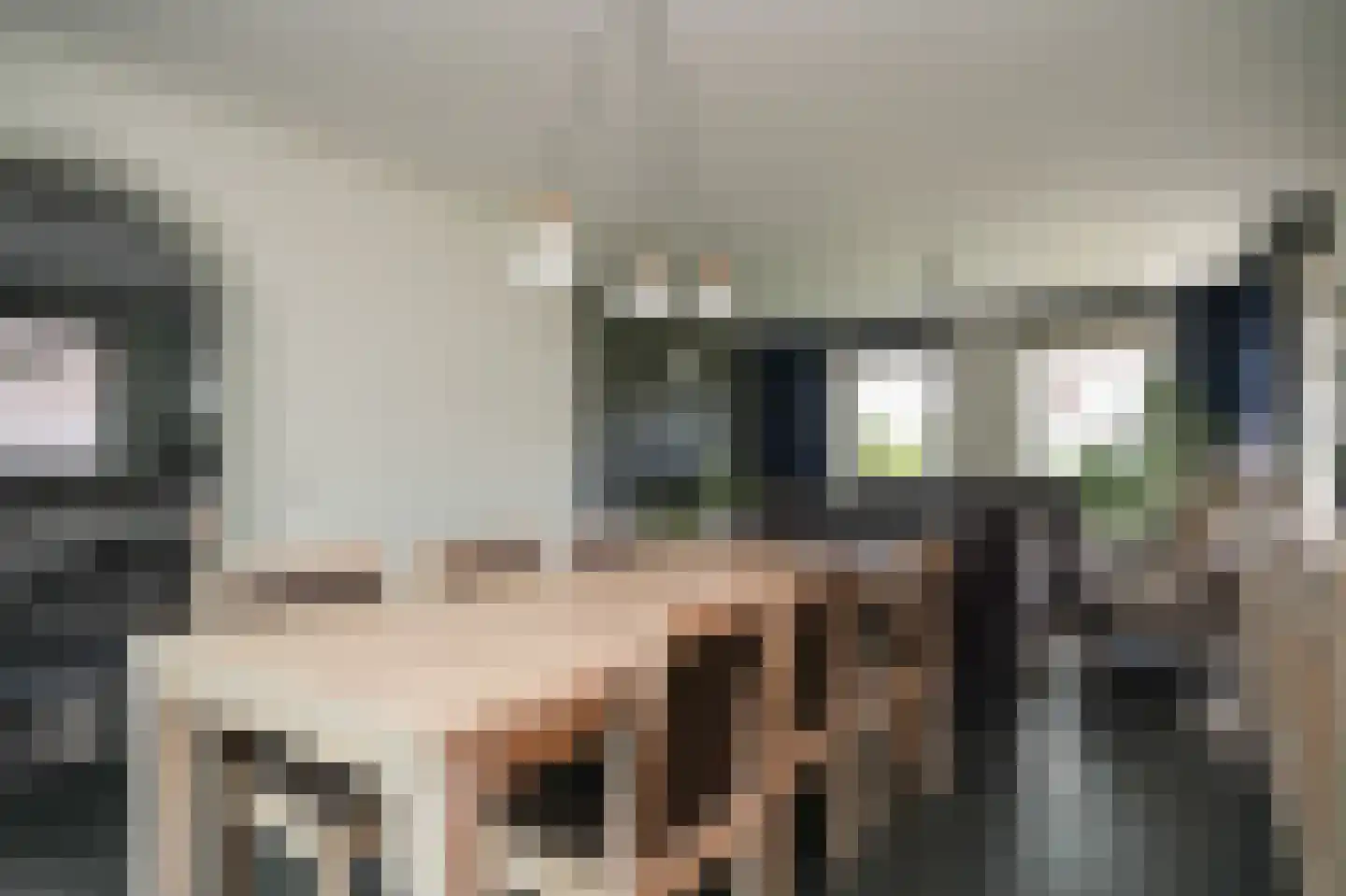Lindestraat 3 Kerkdriel thumbnail 11