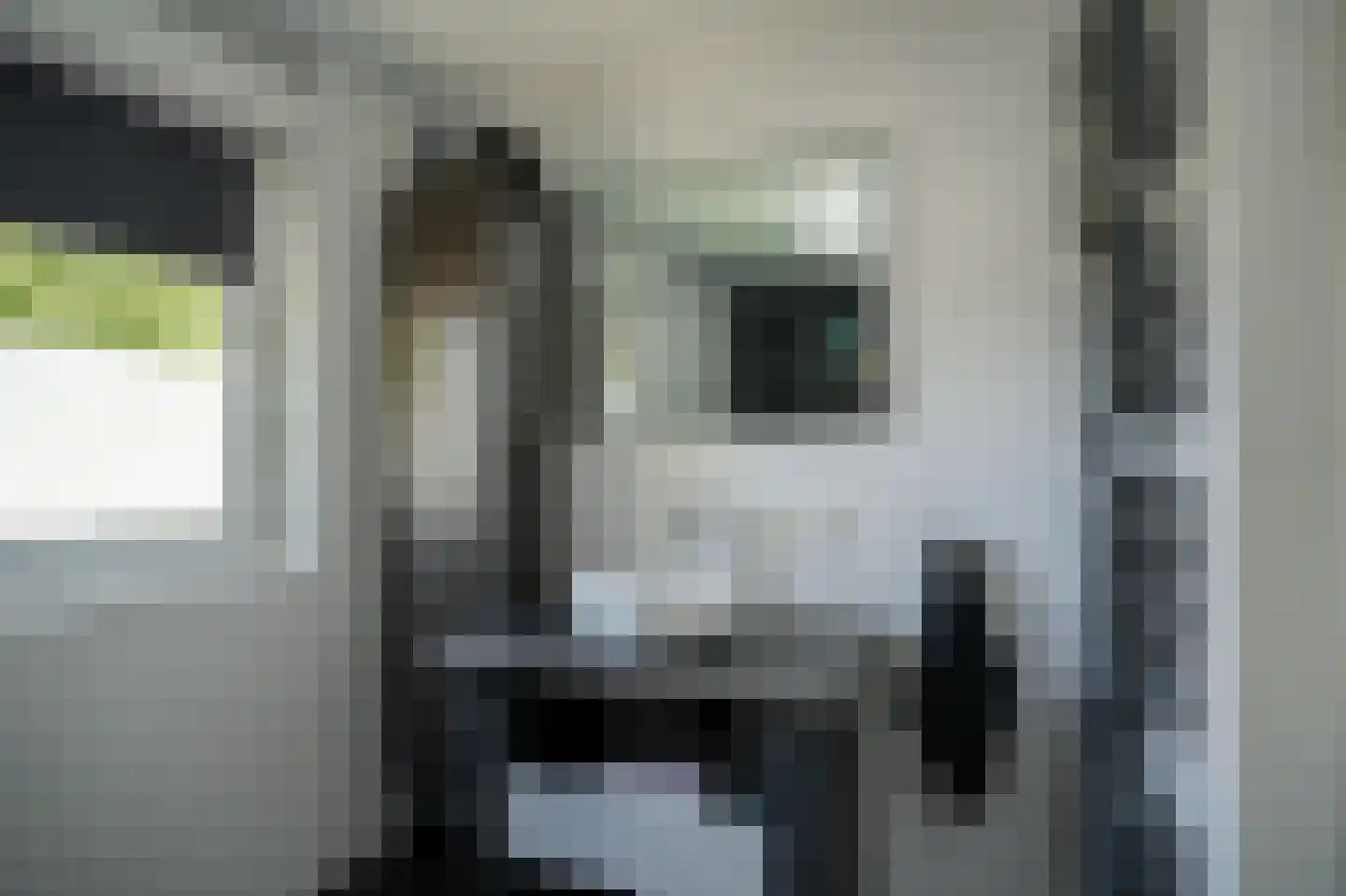 Lindestraat 3 Kerkdriel thumbnail 20