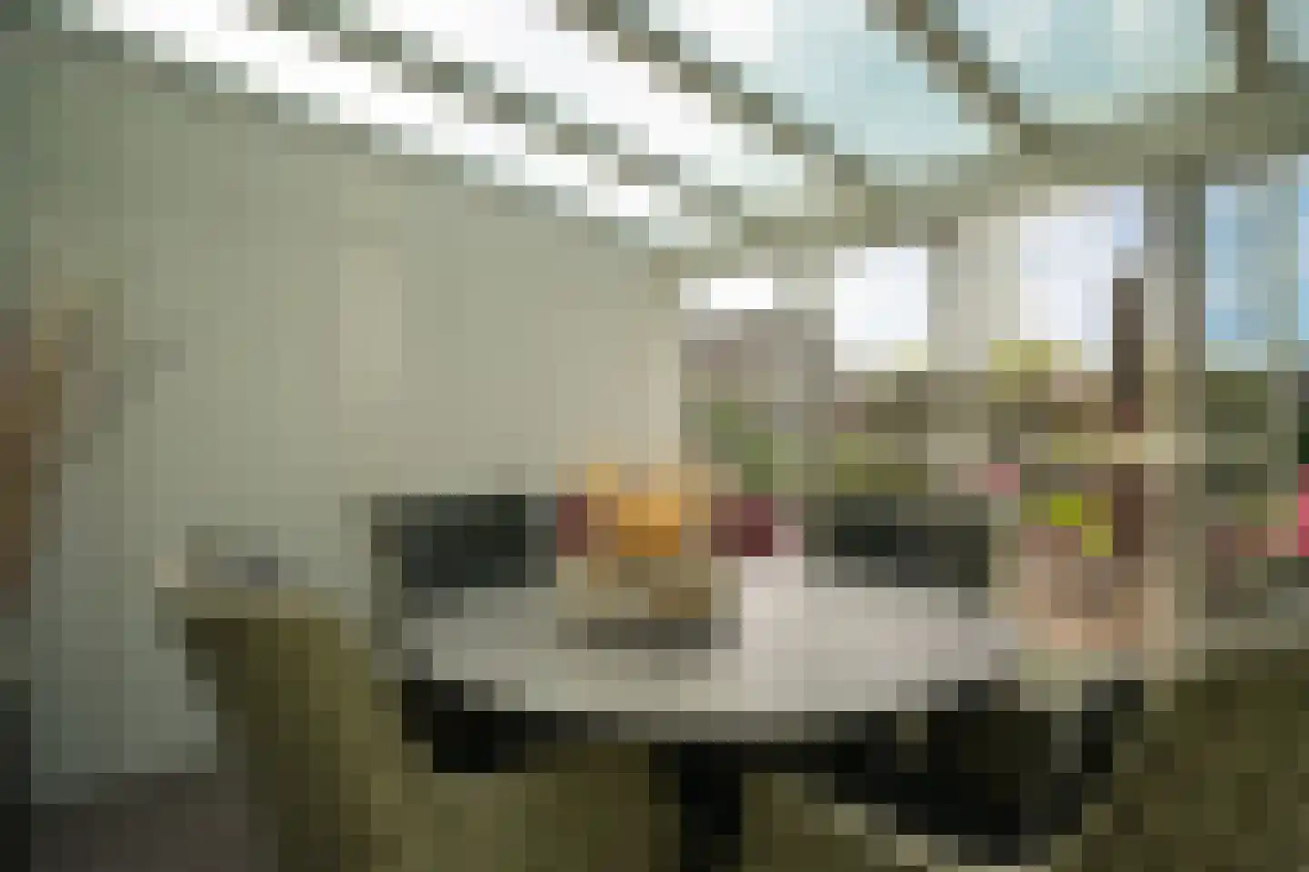 Lindestraat 3 Kerkdriel thumbnail 33