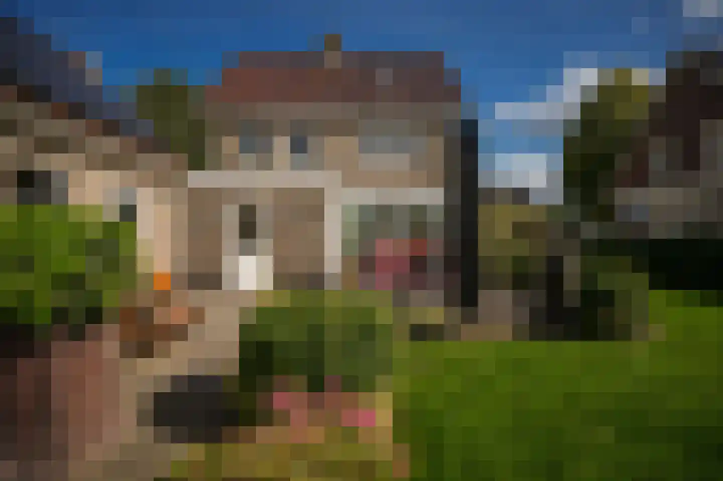 Lindestraat 3 Kerkdriel thumbnail 37