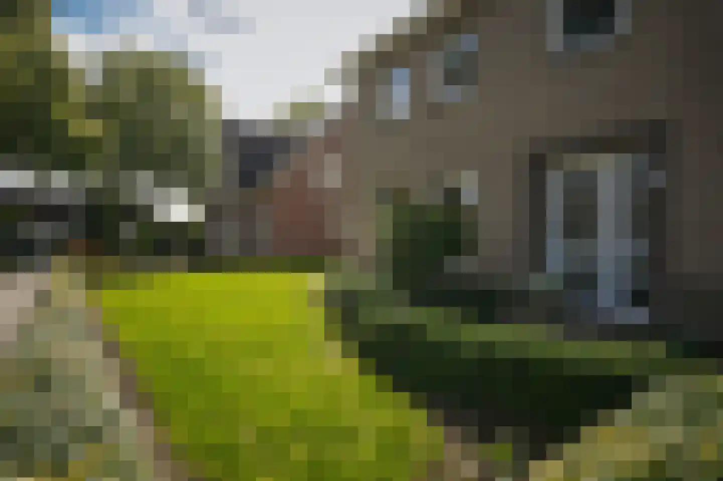 Lindestraat 3 Kerkdriel thumbnail 43