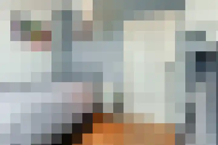 Lindestraat 3 Nistelrode thumbnail 23