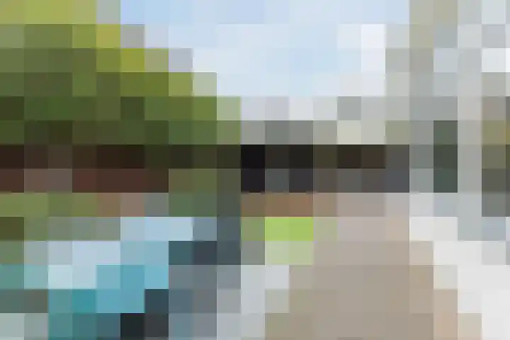 Lindestraat 3 Nistelrode thumbnail 32