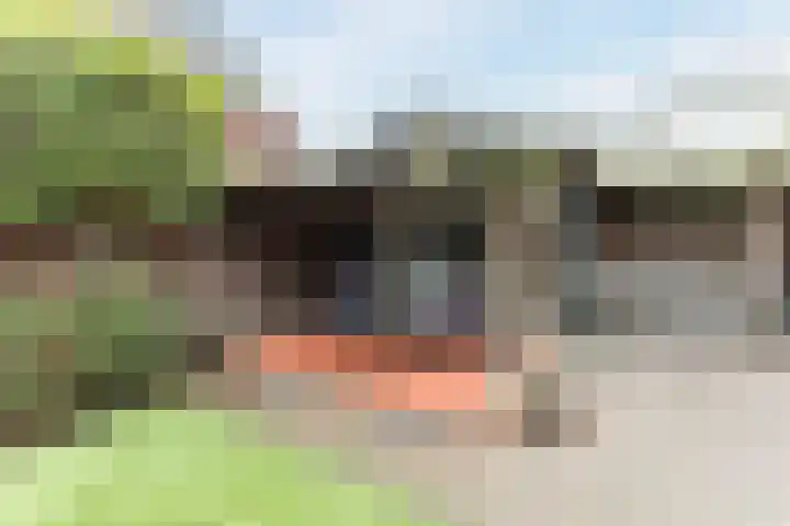 Lindestraat 3 Nistelrode thumbnail 34