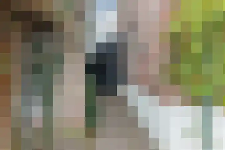 Lindestraat 3 Nistelrode thumbnail 37