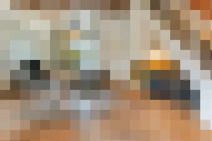 Lindestraat 3 Nistelrode thumbnail 4