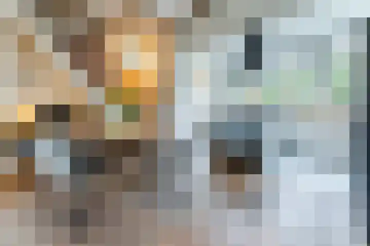 Lindestraat 3 Nistelrode thumbnail 6