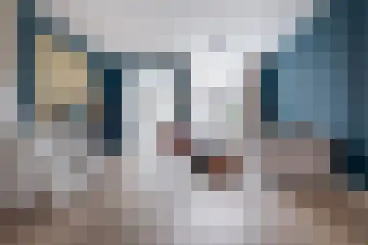 Lindestraat 31 Zwolle thumbnail 12