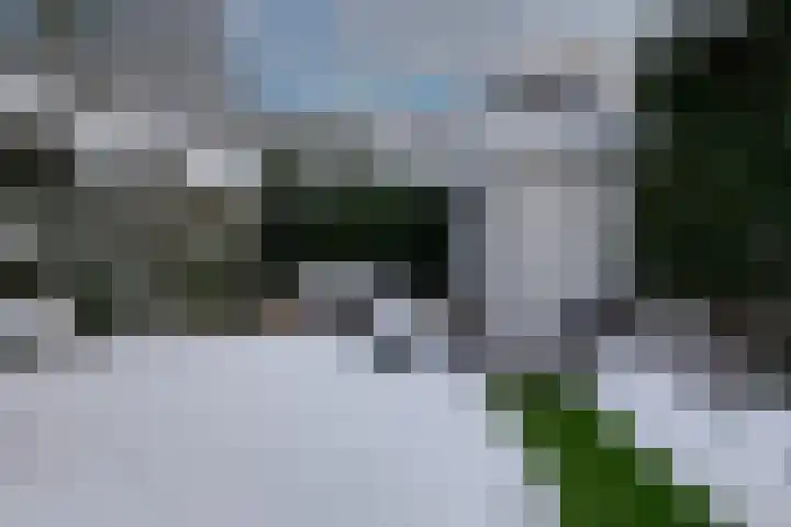 Lindestraat 31 Zwolle thumbnail 33