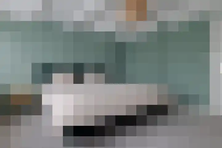 Lindestraat 31 Zwolle thumbnail 39
