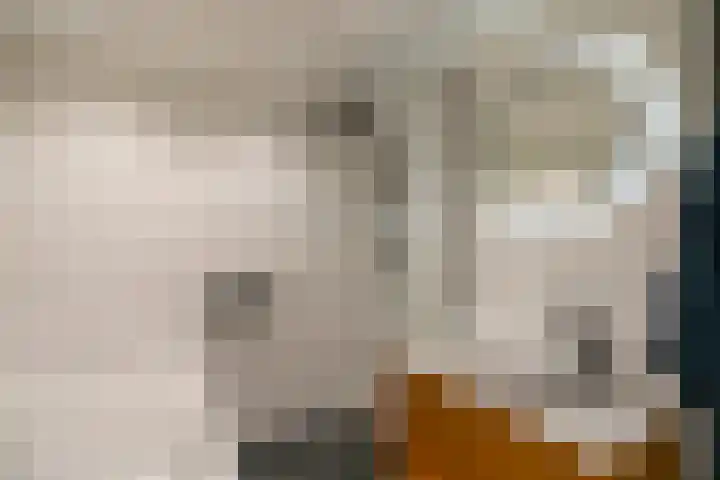 Lindestraat 32 Utrecht thumbnail 28