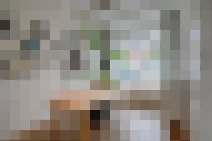Lindestraat 32 Utrecht thumbnail 9