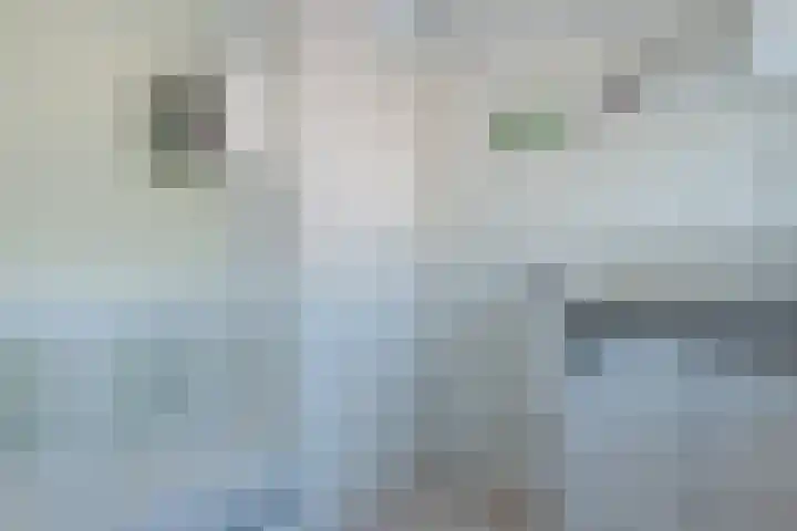 Lindestraat 32 Zwolle thumbnail 31