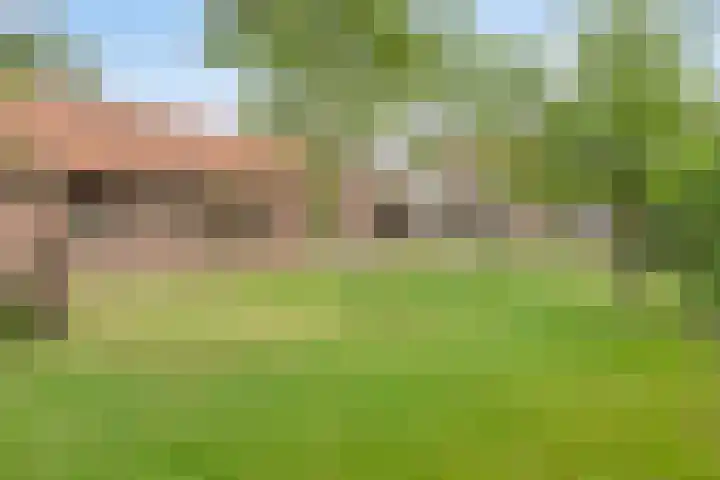 Lindestraat 33 Valkenswaard thumbnail 27