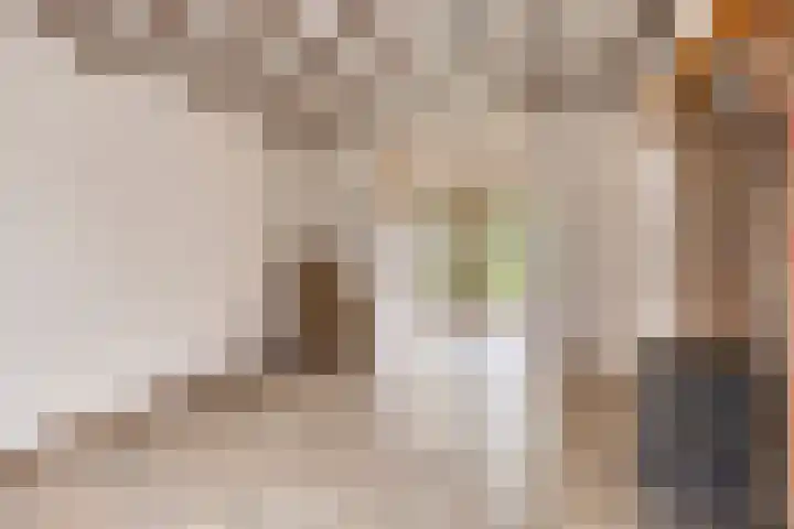 Lindestraat 33 Valkenswaard thumbnail 5