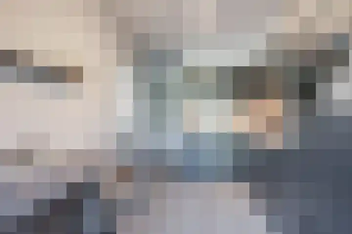 Lindestraat 34 Eersel thumbnail 12