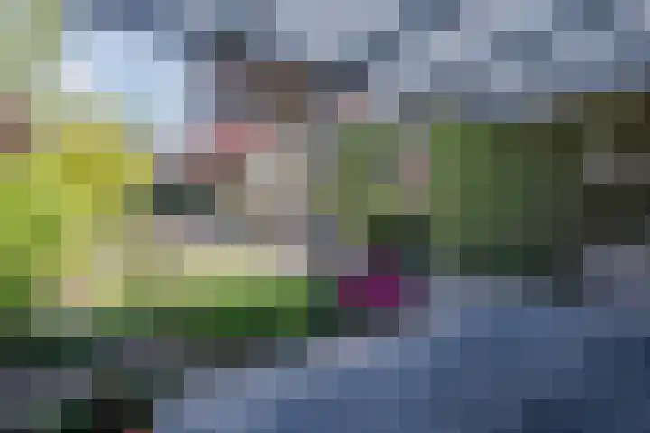 Lindestraat 34 Eersel thumbnail 26