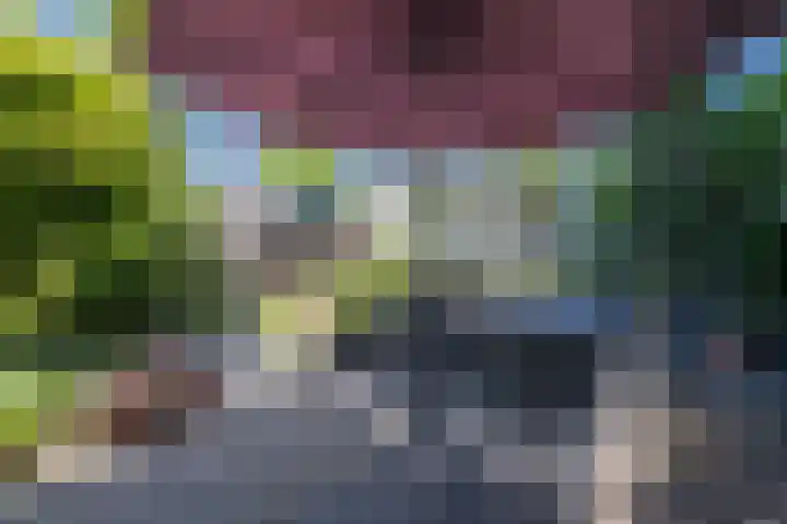 Lindestraat 34 Eersel thumbnail 28